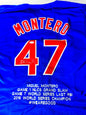 Miguel Montero Signed Cubs Stat Jersey JSA Certified